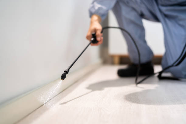 Licensed Termite Control service in Bolivar, OH - Nex Pest Control
