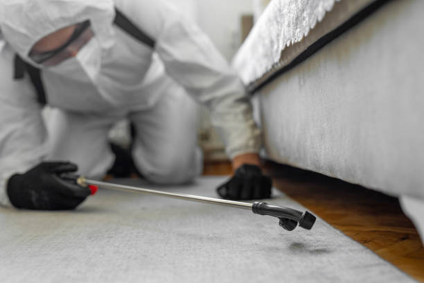 Professional Termite Control technician working in Bolivar, OH