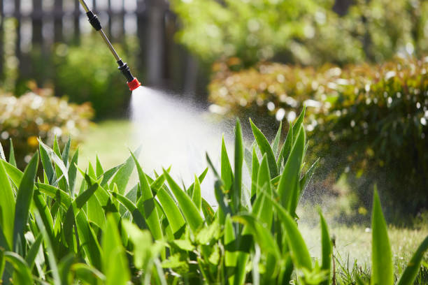 24/7 Emergency Termite Control experts in Bolivar, OH