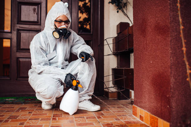 Reliable Termite Control contractor in Bolivar, OH by Nex Pest Control